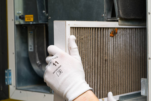 Best Home Air Vent Cleaning  in Arp, TX
