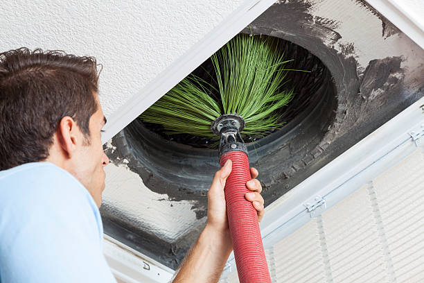 Best Emergency Air Duct Cleaning  in Arp, TX