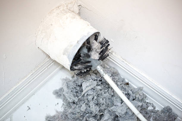 Best Residential Air Duct Cleaning  in Arp, TX